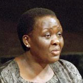 Harvard-Trained Doctor Named to Head United Nations Effort on HIV/AIDS in Africa