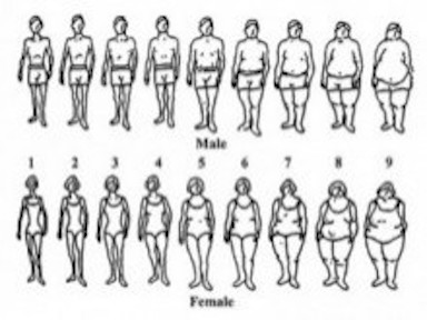 Body-type-scale