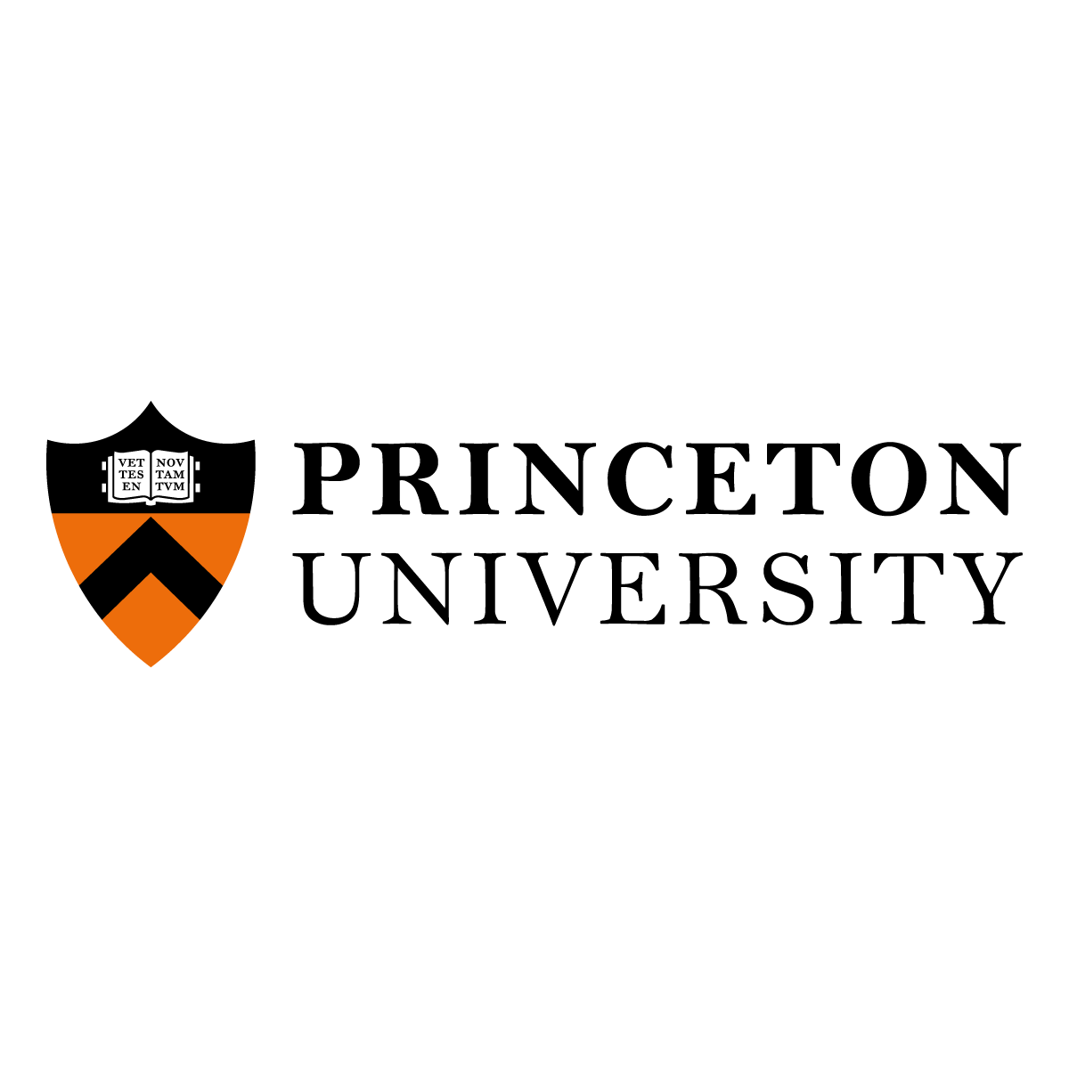 Professor in Plasma Physics