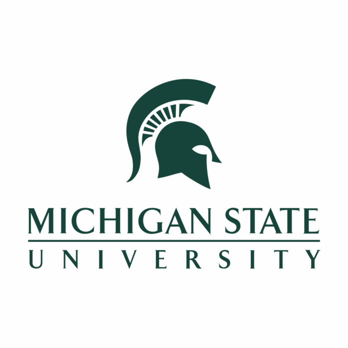 michigan-state