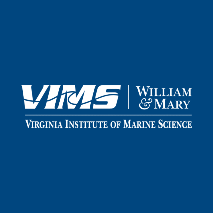 vims